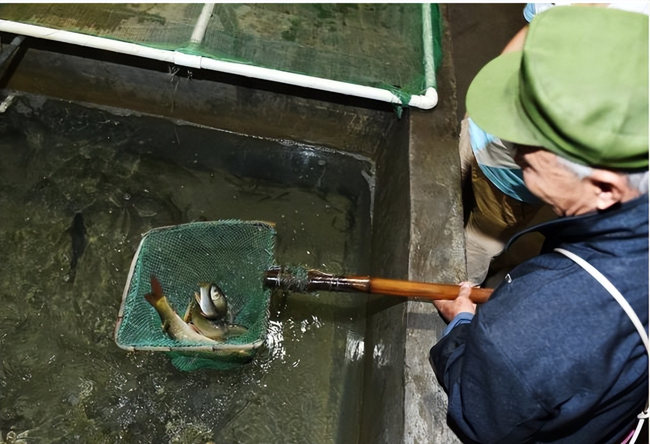 李老汉挖出鱼,李老汉挖出鱼泉现状