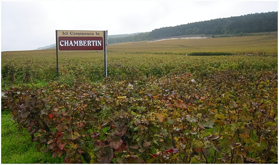 香贝丹红酒图片,香贝丹葡萄酒