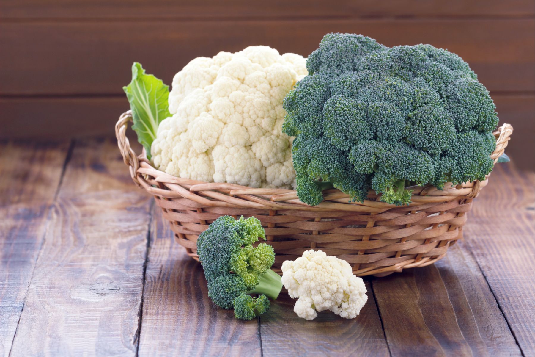 日本垄断的西兰花,西兰花种子垄断