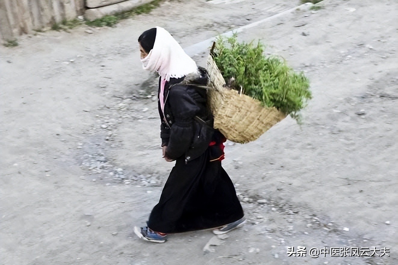 张锡纯散结汤,张锡纯疏肝理气中药方