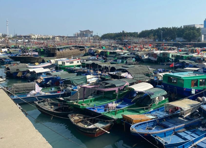 北海的海鲜便宜还是防城港的便宜 (北海吃哪些海鲜便宜)