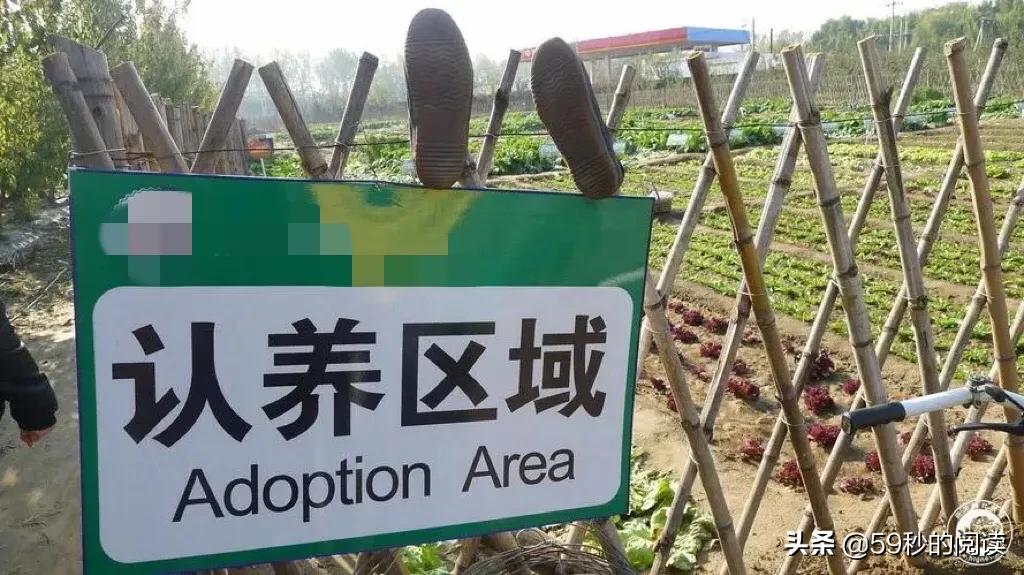 认养种植什么意思,认种认养新模式