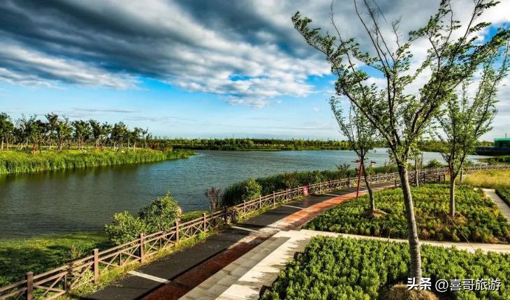 上海金山区旅游景点有哪些,金山区免费旅游景点大全