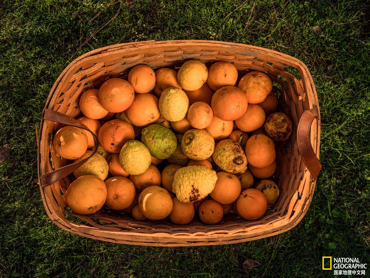 免疫增强剂的作用机制,吃免疫增强剂好不好