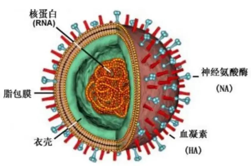 多灾多难，我们的未来还会好吗？