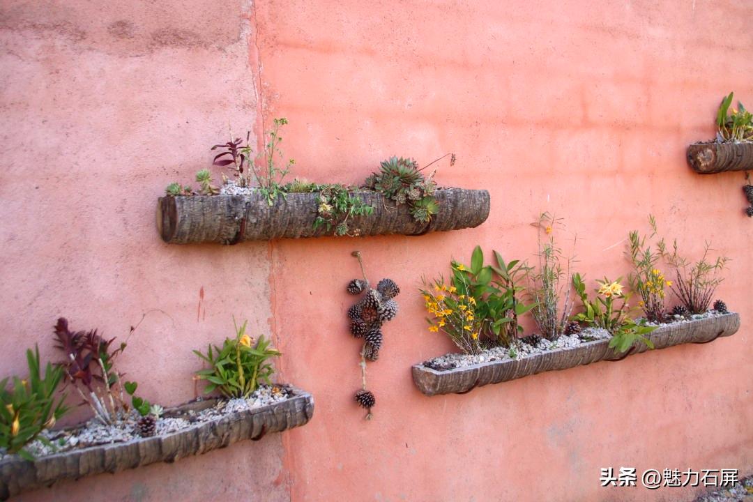 石屏哨冲拖黑村,哨冲镇拖龙黑村图片