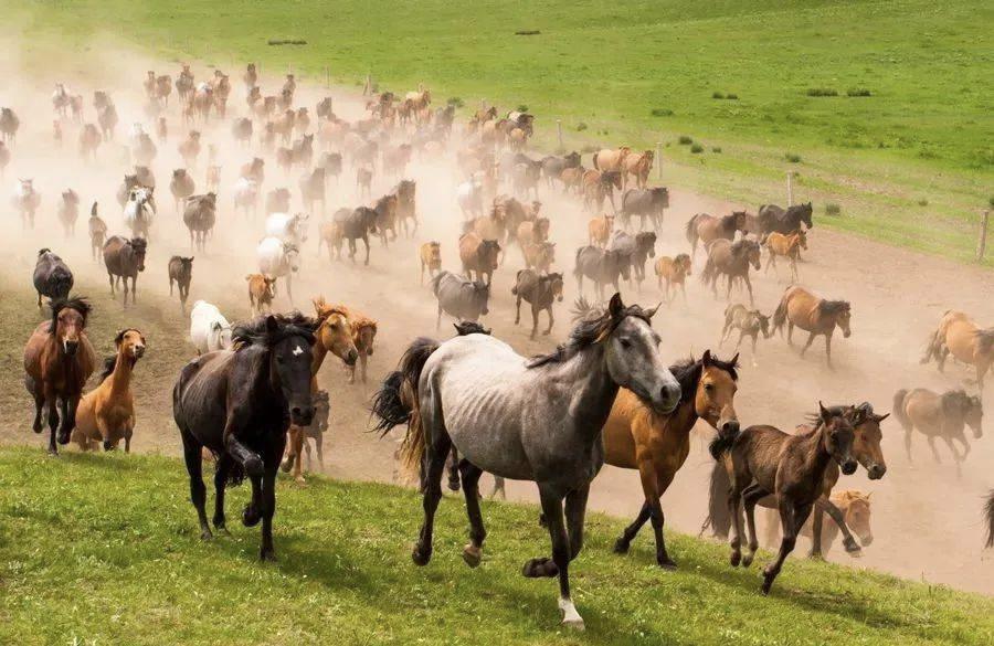 张掖最值得去的景点,张掖最美的旅游区