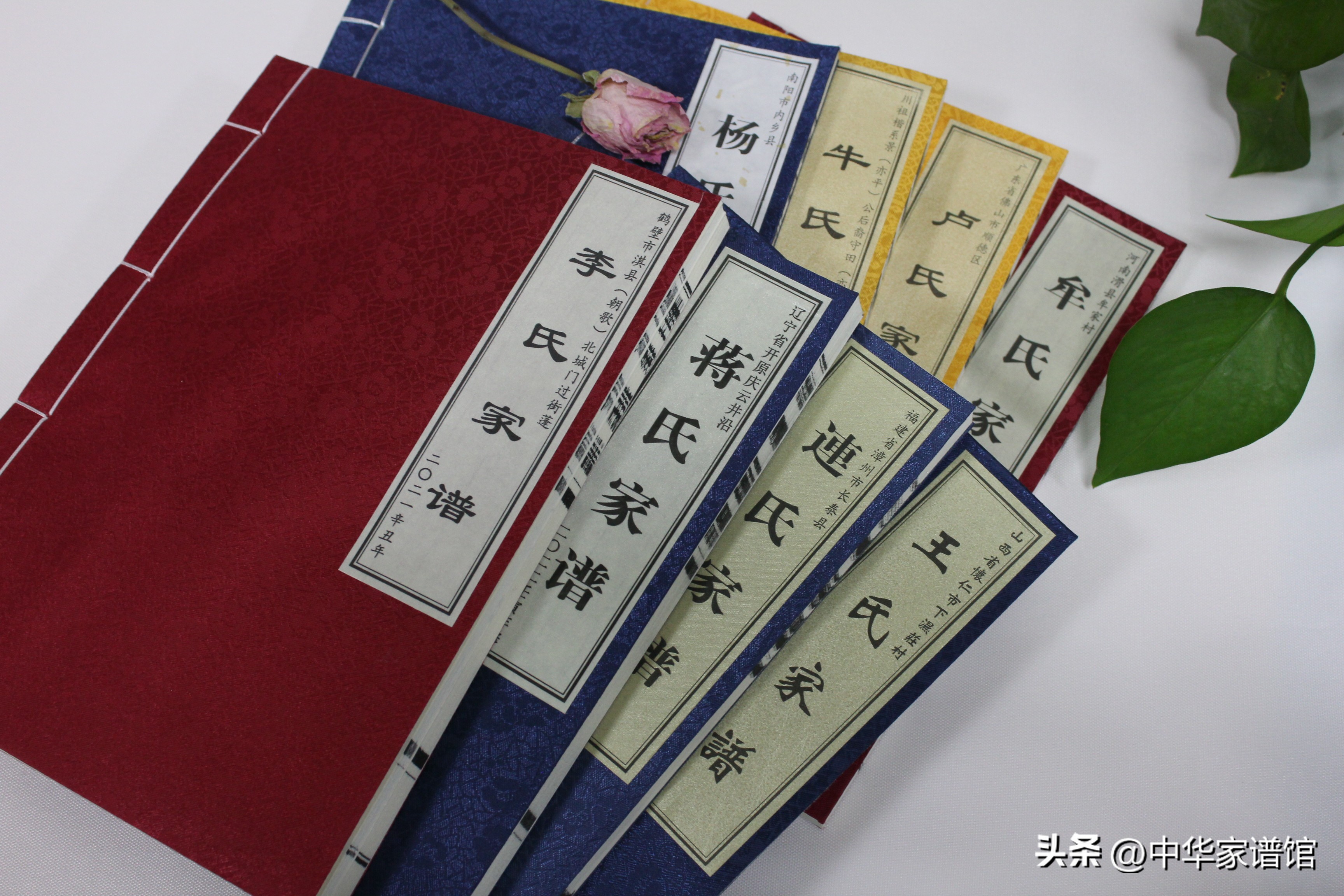 家谱编修流程及注意事项,编修家谱的流程