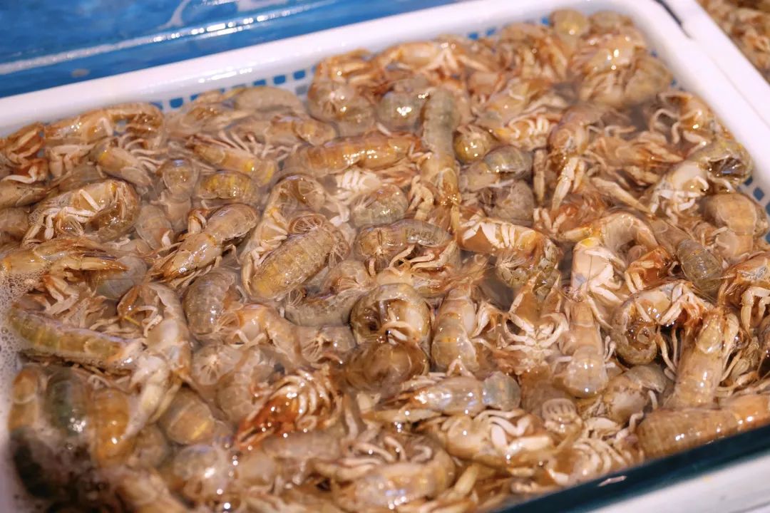 大连旅游住海景房,大连住哪里方便且海景美丽