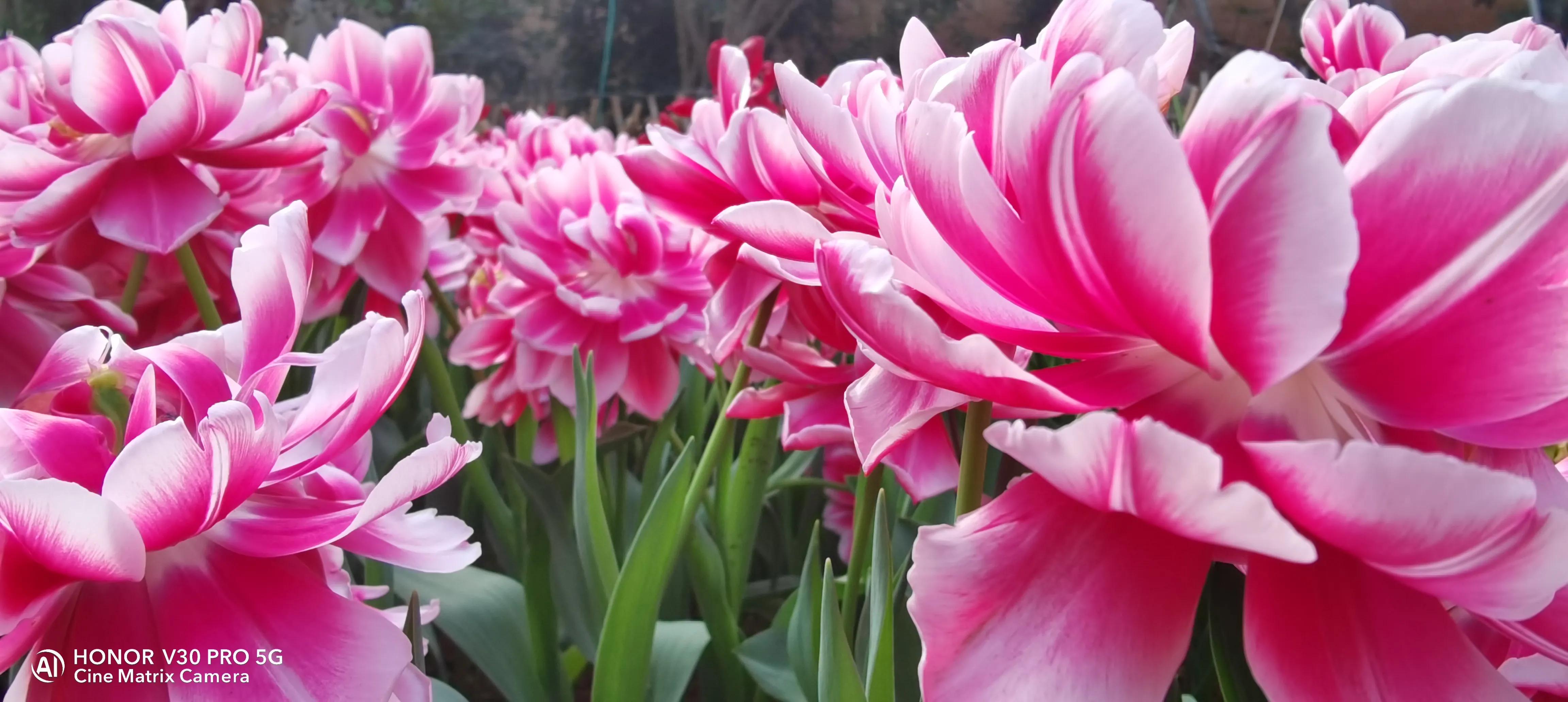 吹牛要交税多少,吹牛要不要交税