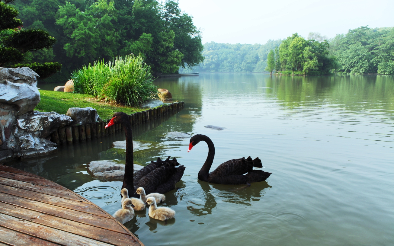 上海西郊宾馆1921,上海西郊宾馆全景