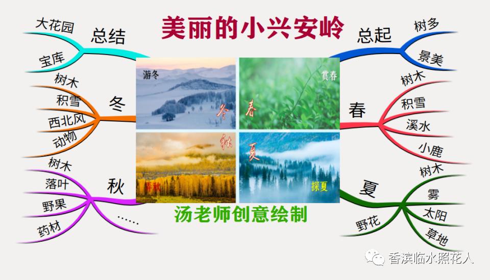 教你用思维导图学语文,语文思维导图20课小兴安岭