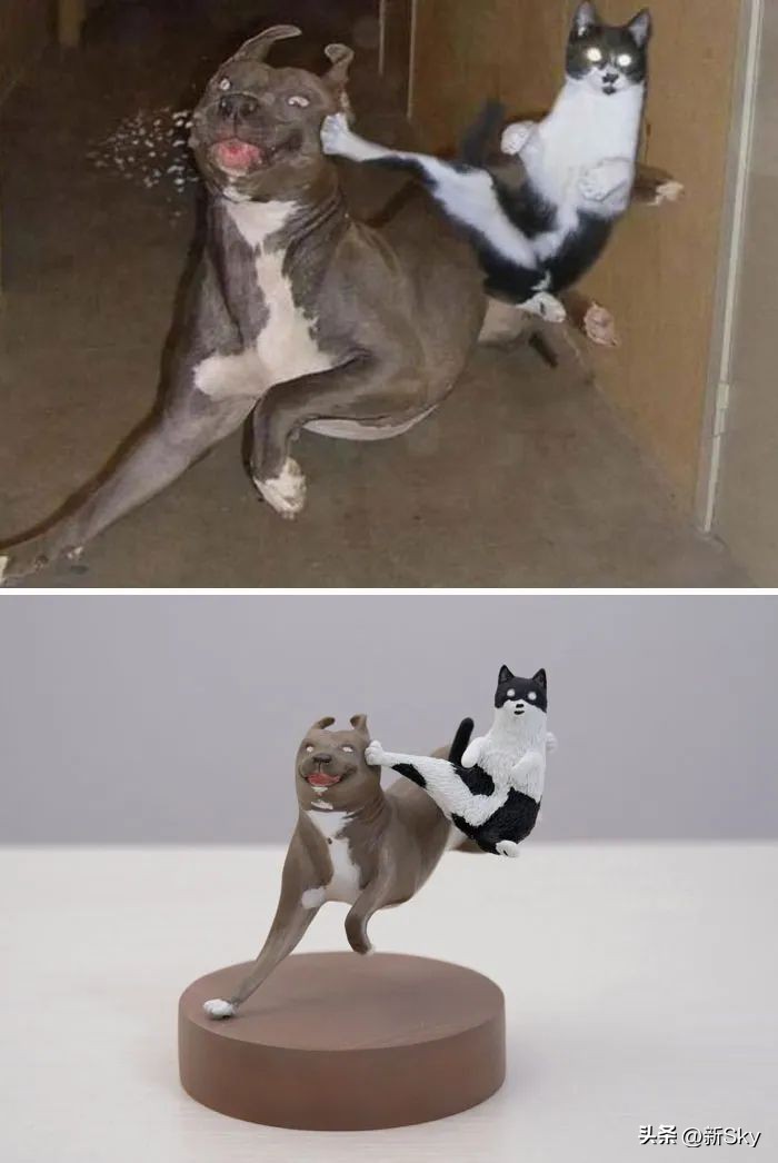 哈哈哈，这个神经手办又双叒更新了，笑惨我了