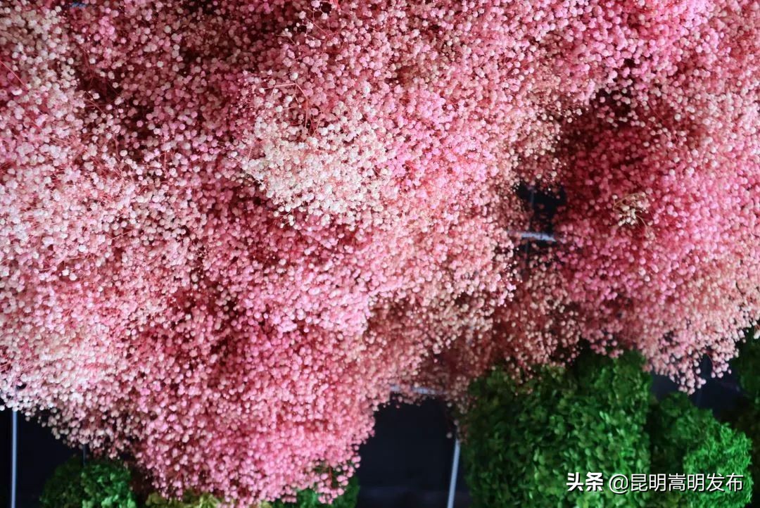 嵩明永生花店 (嵩明永生花)