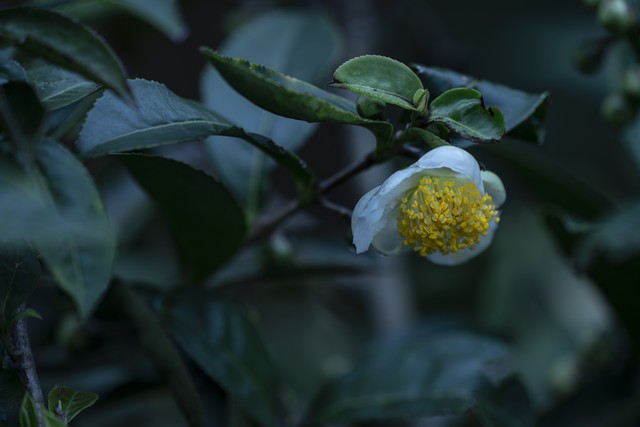 赚钱是最好的修行,赚钱是修行的最高境界吗