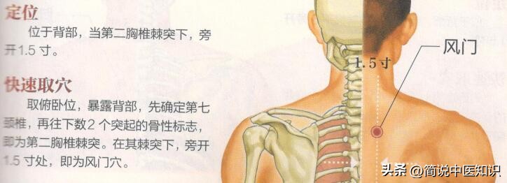 简明中医知识：风寒感冒如何使用穴位居家治疗