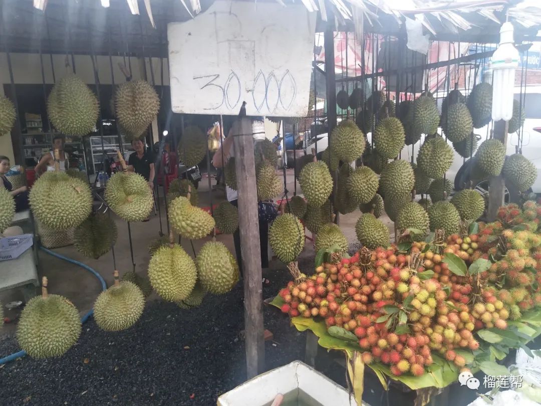 开一个38元榴莲店怎么样,开一家关于榴莲的店