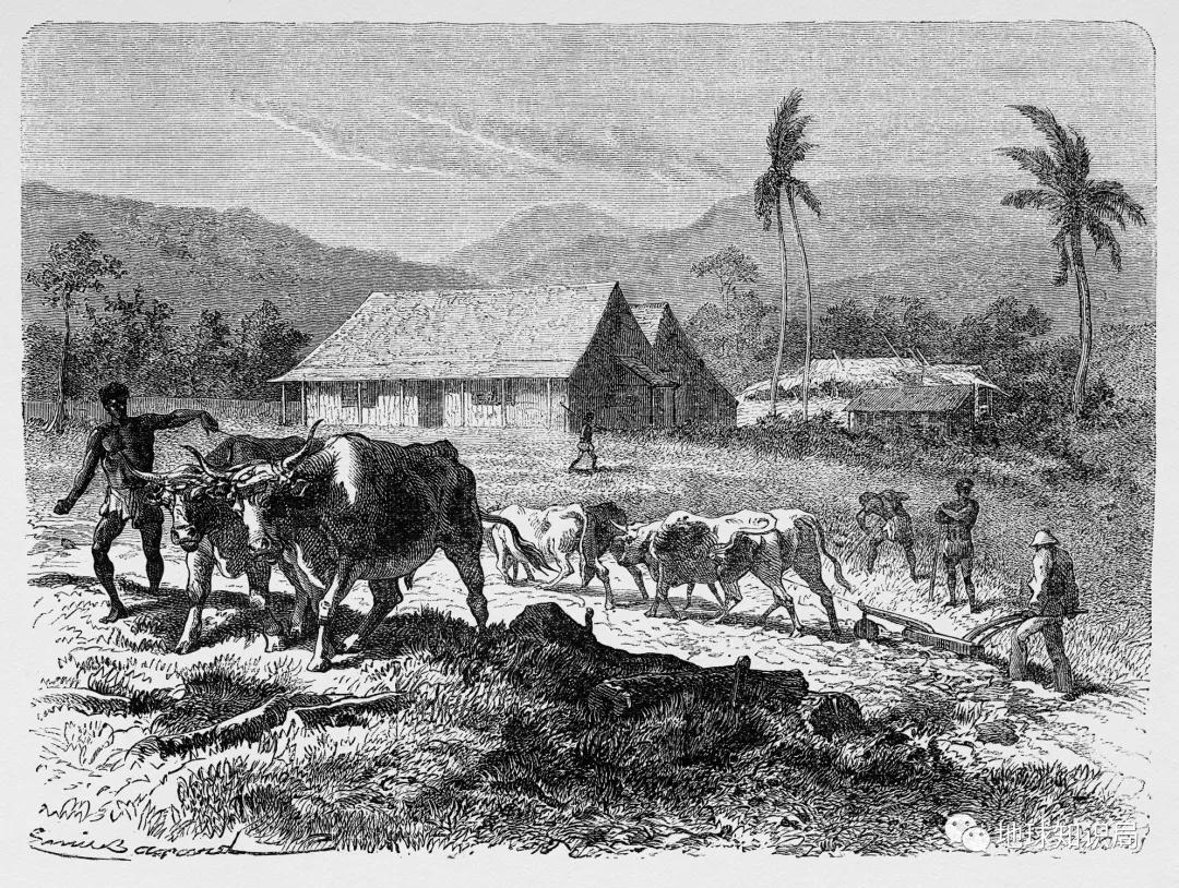 法属圭亚那是干嘛的,法属圭亚那是指