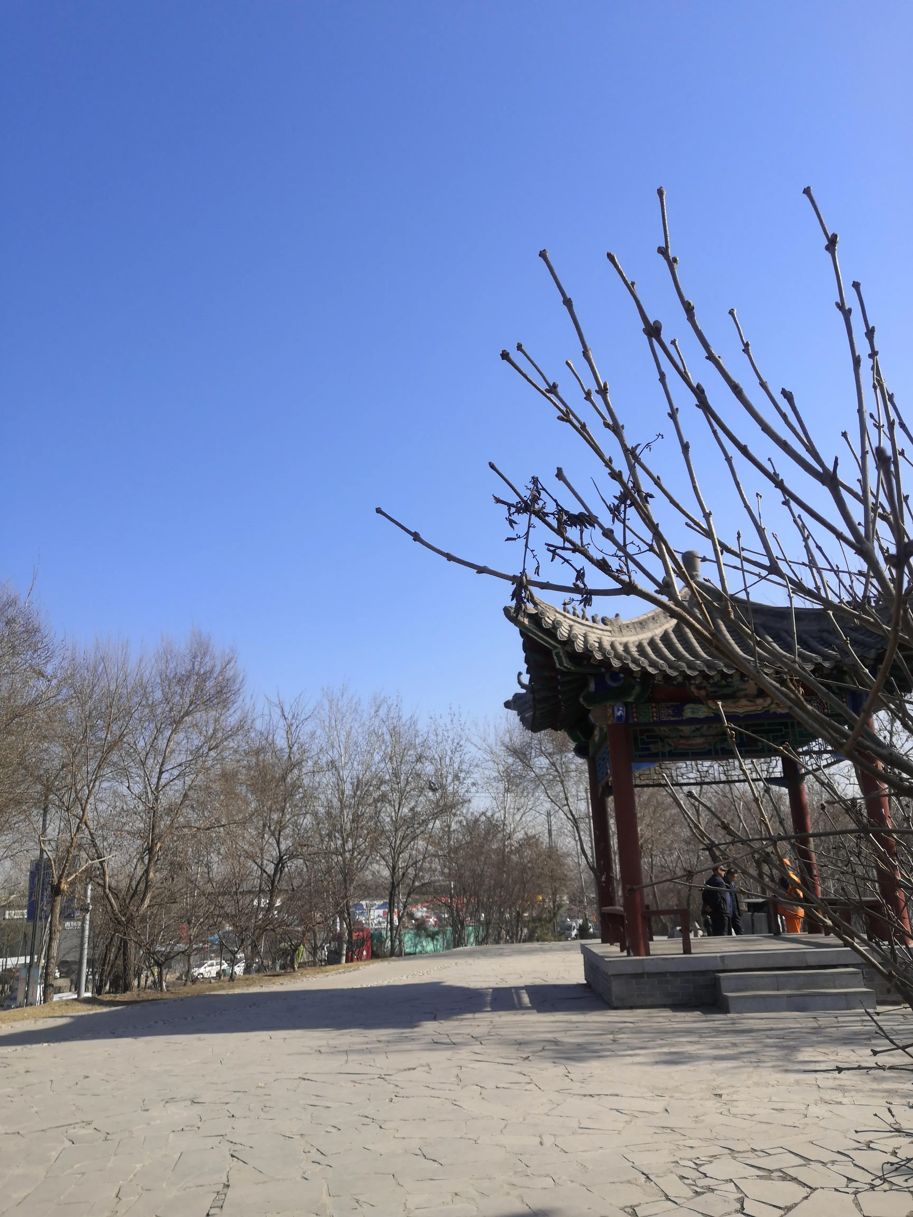 我的腰突为什么越治越痛,我的腰一弯就痛是怎么治疗