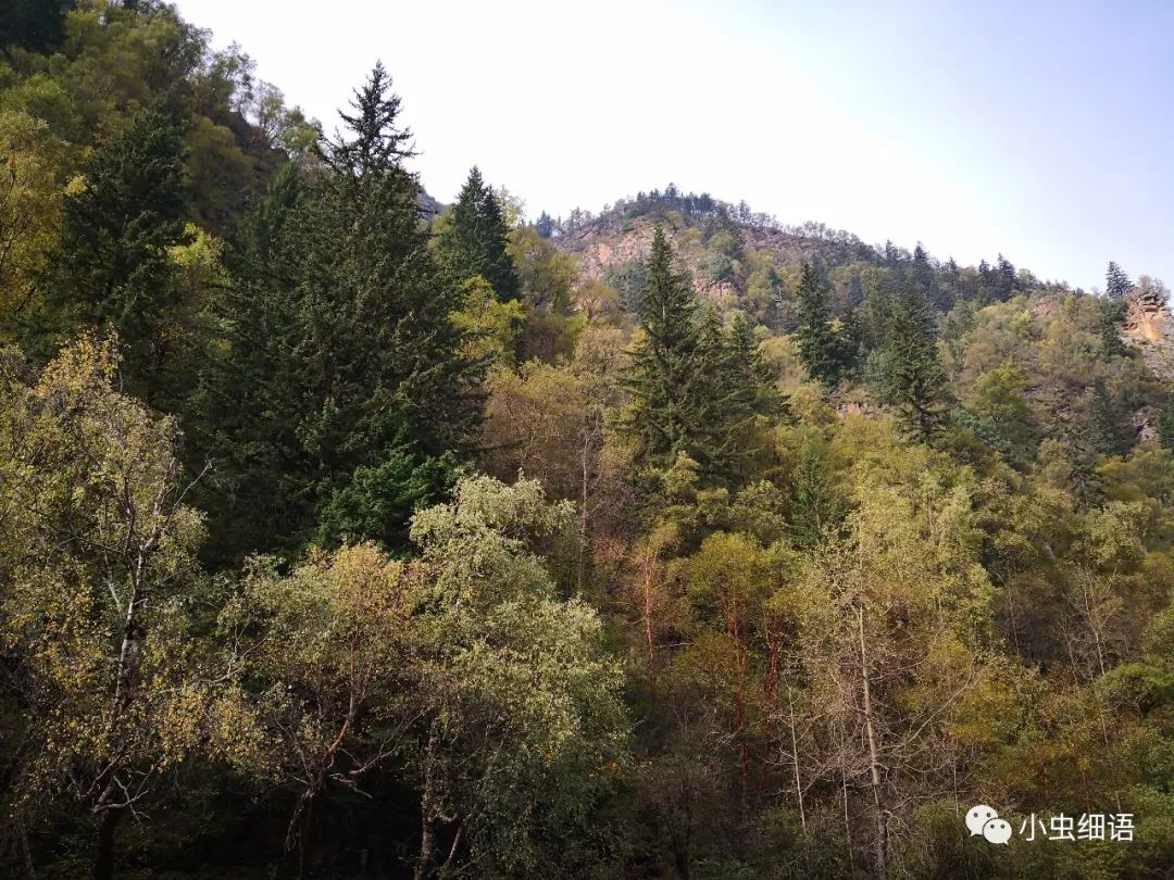 马不停蹄地悠赏之诺尔盖草原