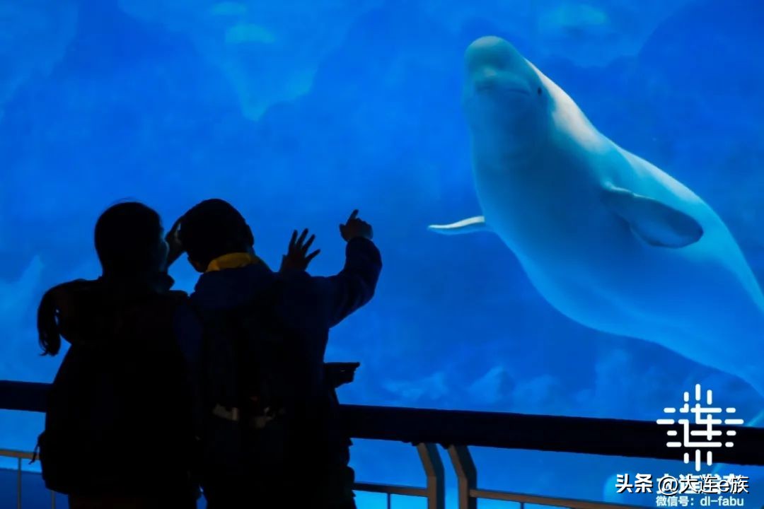 10大景区景点！“一票游大连”来了！