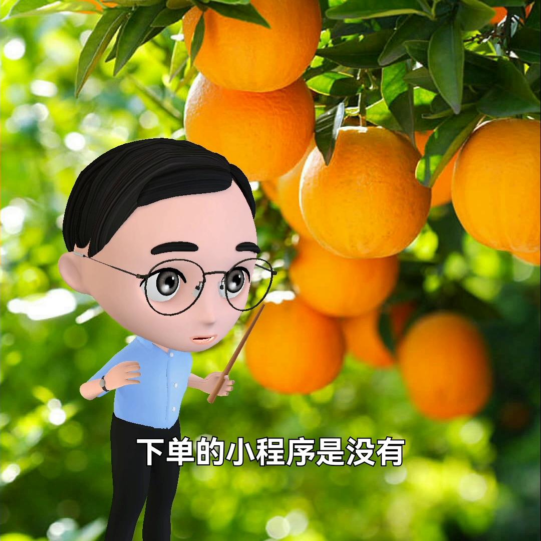 同城配送水果蔬菜流程,生鲜水果配送小程序