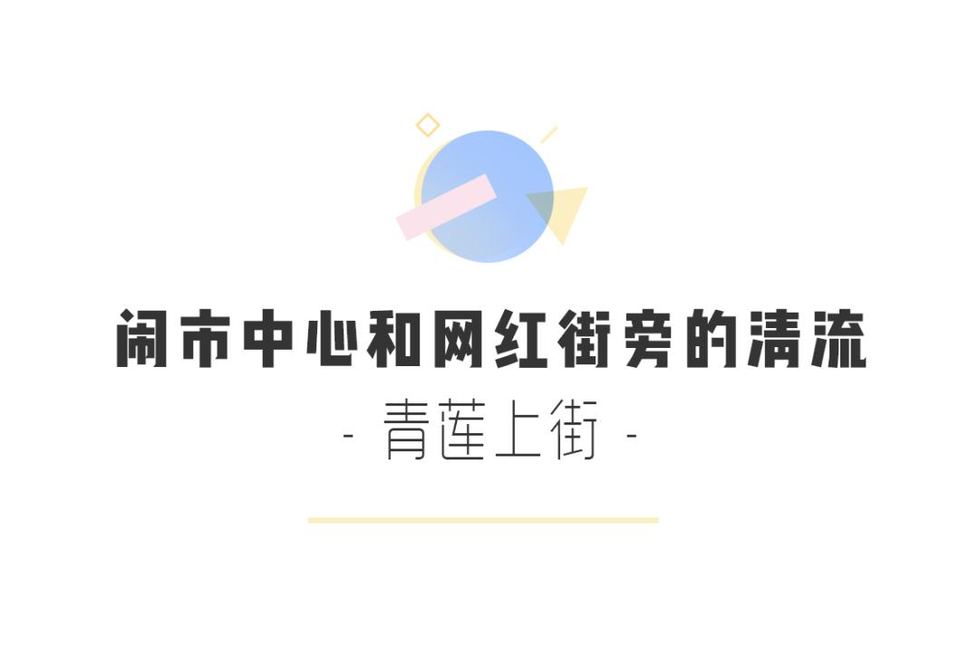 成都最有烟火气的老街,成都比较有特色的老街