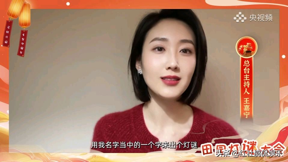 央视灯谜大会,央视谜语大赛直播