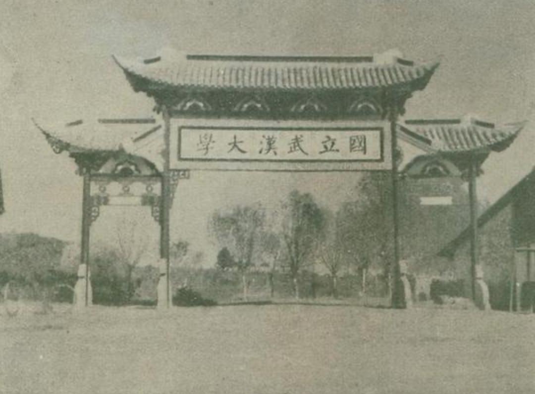 清朝张之洞简介,大清王朝的真正的掘墓人张之洞