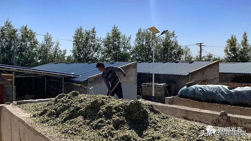 “我们这十年”丨崆峒：“畜”势勃发“牧”歌欢唱