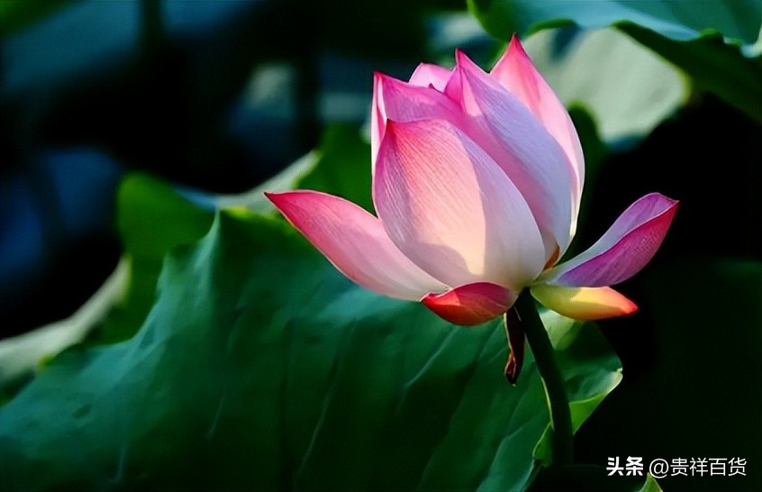 2023年3月份哪天是节假日,2023年4月有哪些法定节假日