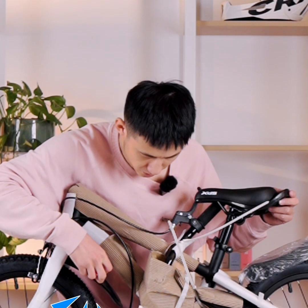 喜德盛电助力脚踏车,喜德盛脚踏车