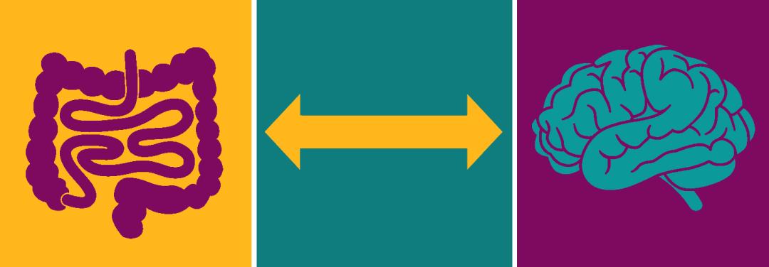 肠道菌群和抑郁精神疾病的关系,肠道菌群与抑郁症及自闭症