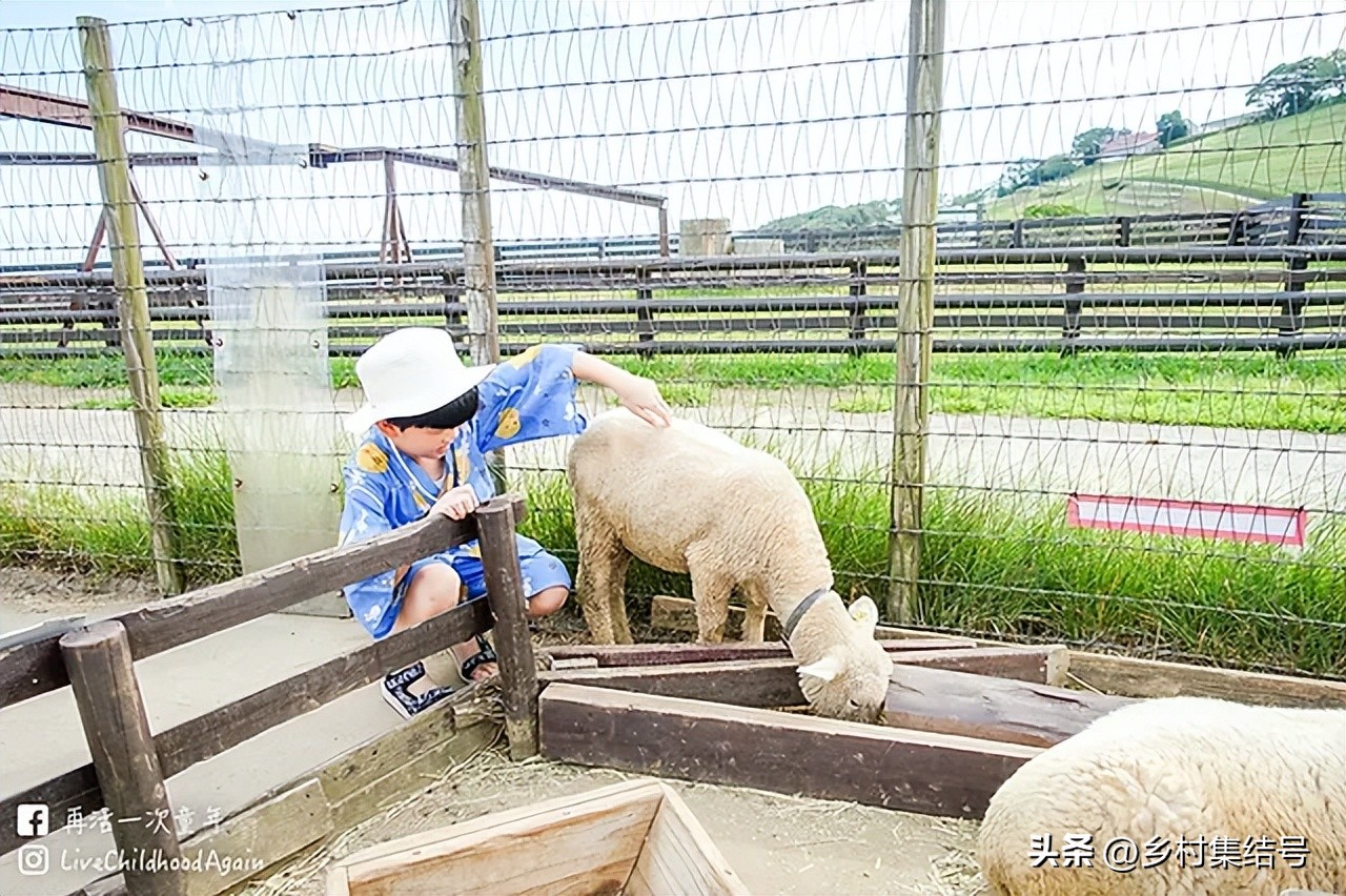 日本亲子农场主题乐园,日本妈妈牧场成功的原因