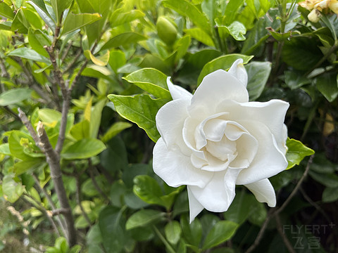 大理希尔顿酒店住宿价格表,大理实力希尔顿酒店