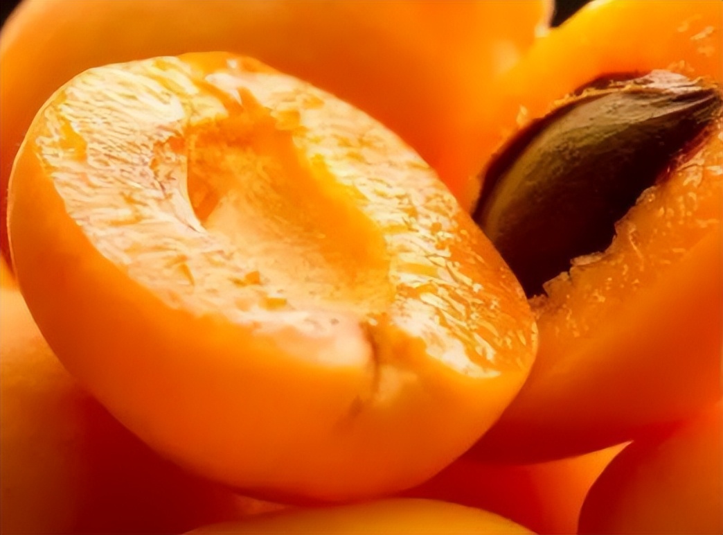 咳出黑痰黄痰白痰分别代表什么,痰是绿色的提示什么病