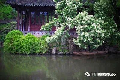 沧浪之水兮可以濯吾缨,沧浪之水浊兮可以濯我足