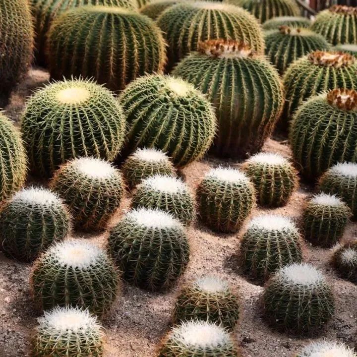 升！升！升！周末去这些地方打卡→