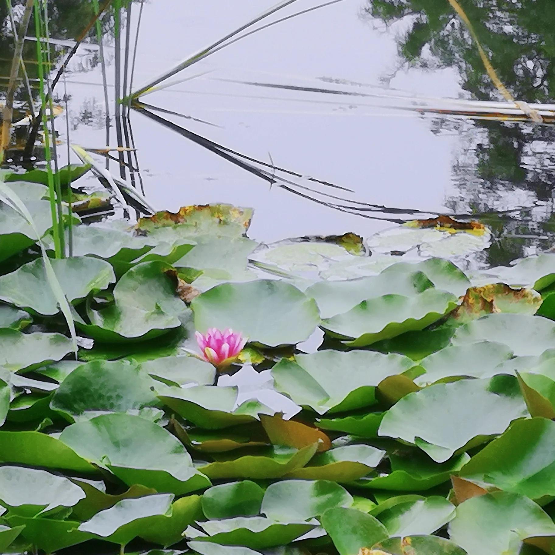两岁读诗出口成章（天才养成计划之一）