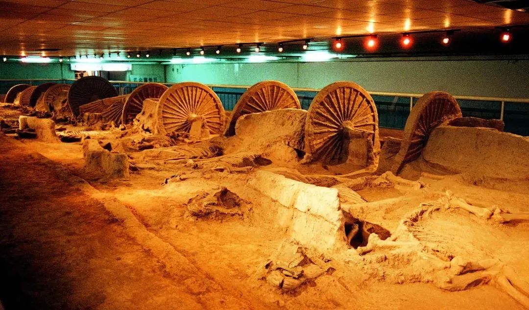 什么是*物文**，一起来学习！