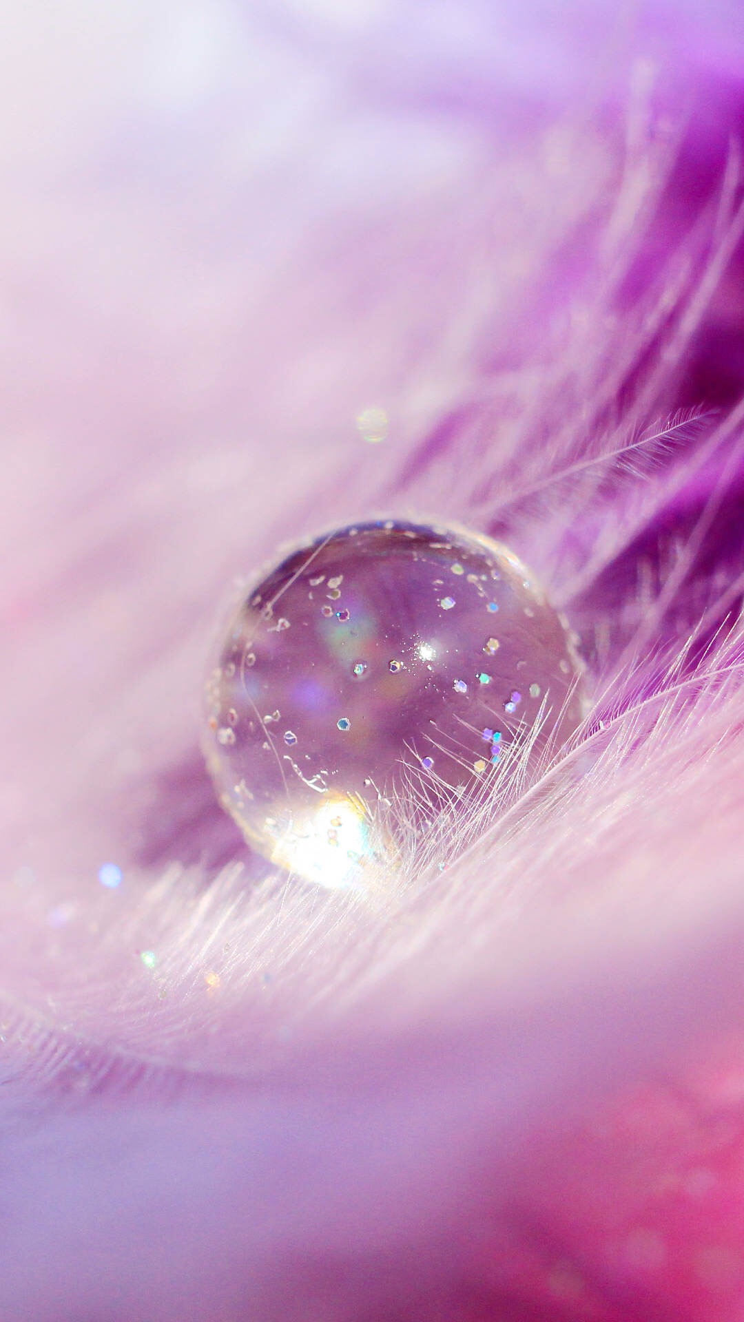 浅色壁纸高清图片花,超仙闺蜜壁纸动漫紫色和粉色