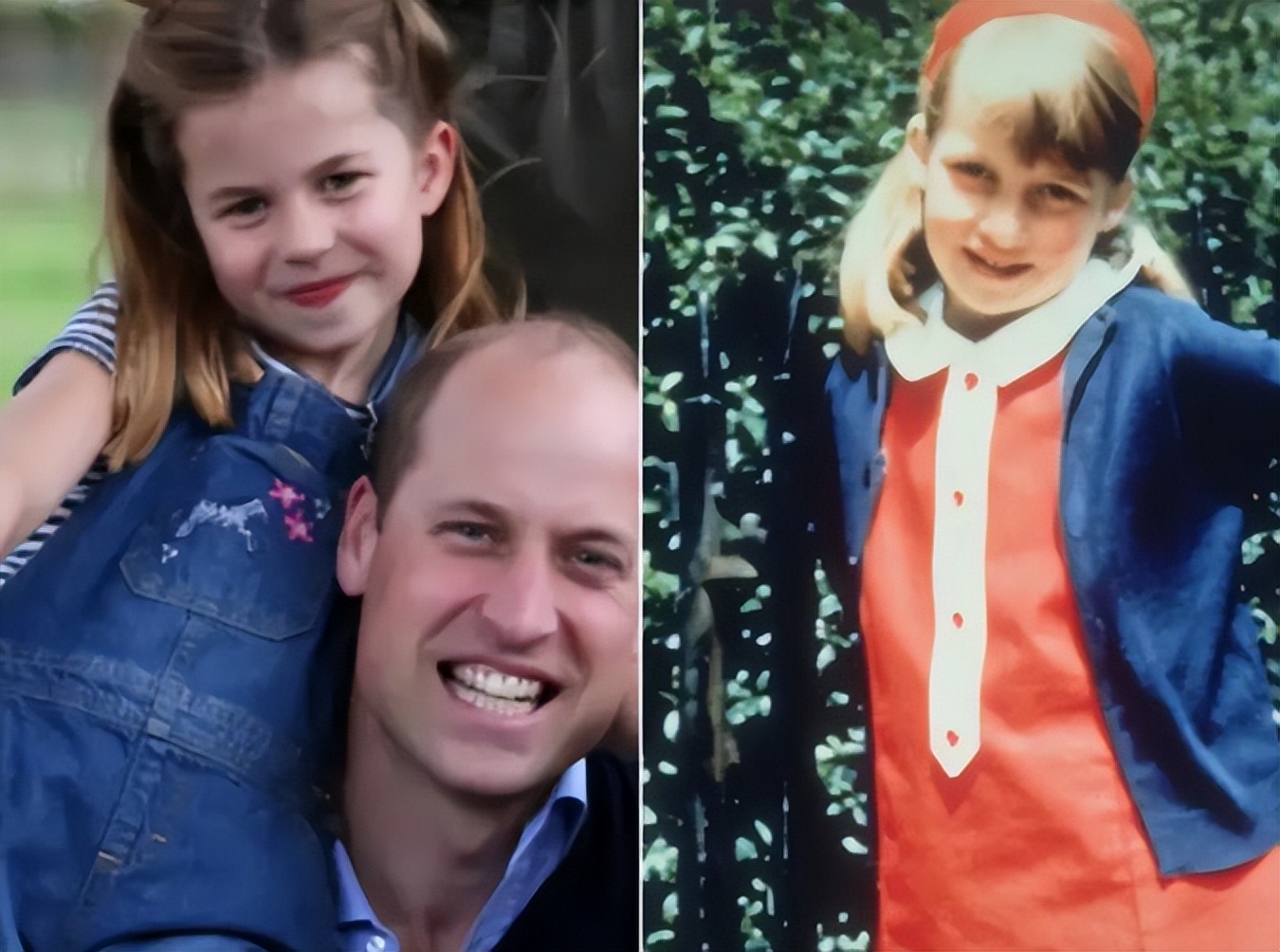 夏洛特小公主长大,夏洛特长大后图片