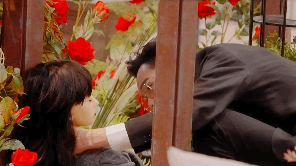 张若昀为什么不演法医2了,张若昀为什么不当侦探