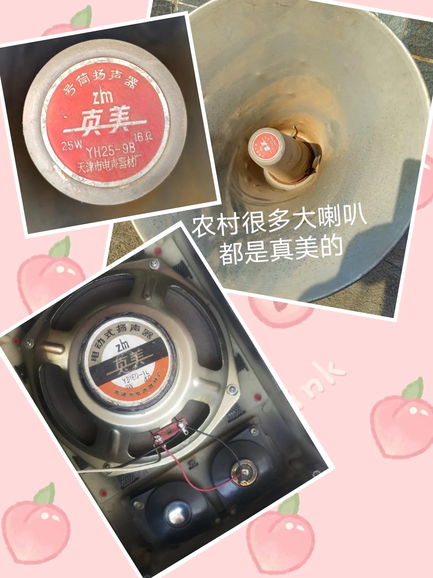 天津真美电声器材厂老照片,拆老式音箱