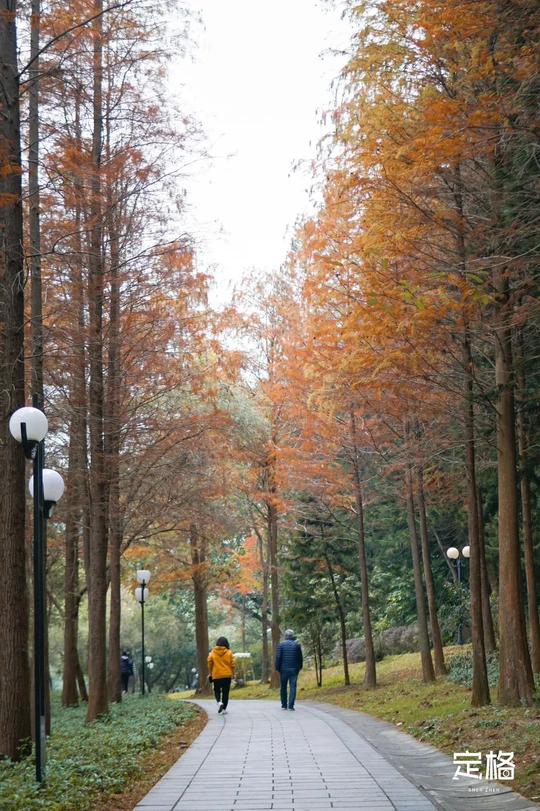 深圳地铁能直达的免费景点宝安区,深圳地铁直达免费玩的海滩