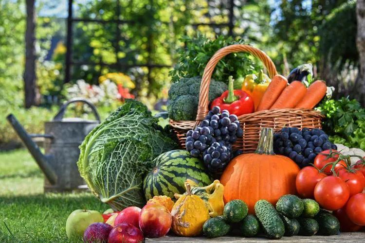 大脑吃什么？当大脑特别想吃一样食物时该怎么做？