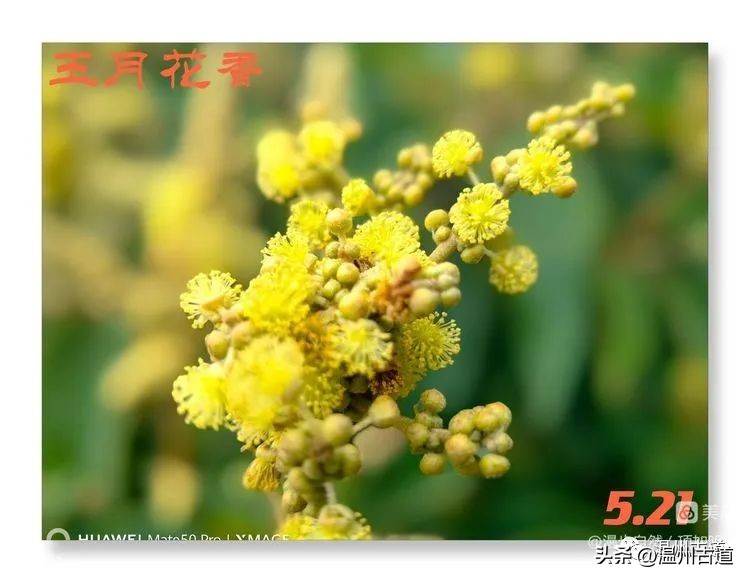 告别春天迎接夏天的诗,告别春天迎接夏天到来