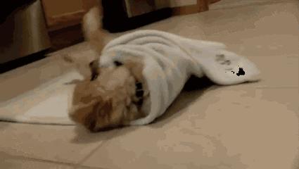 生理性腹痛有哪些症状,夫妻性腹痛是什么原因