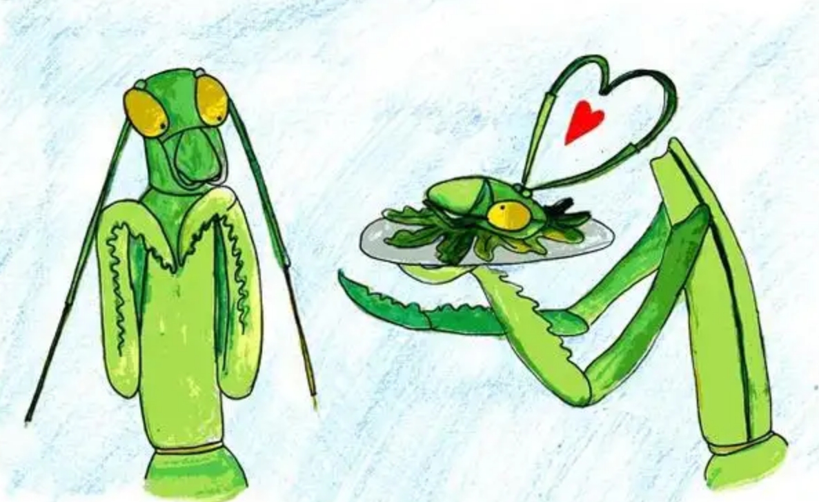 交配明明是为了繁衍后代,为什么雄性海獭,要将雌性折磨致死?