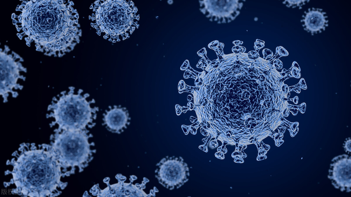 橄榄菜是用什么原材料做的,汕头橄榄菜用腐烂材料做的